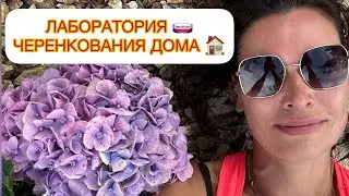 ✅ЛАБОРАТОРИЯ 🧫ЧЕРЕНКОВАНИЯ Дома 🏠👍