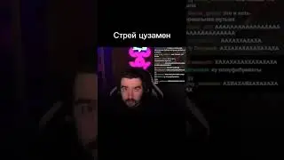 Стрей цузамен