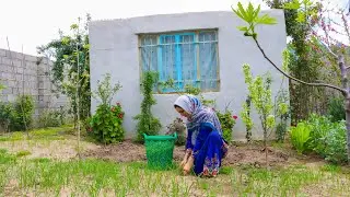 IRAN Village Life | Daily Village Life in the Mountains of Iran