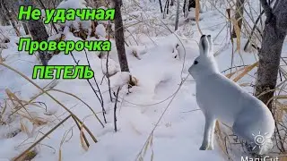 НЕ УДАЧНАЯ ПРОВЕРКА ПЕТЕЛЬ НА ЗАЙЦА!