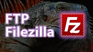 Как настроить FTP соединение через File Zilla