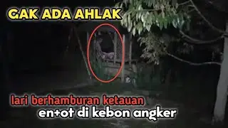 ketauan,kakek2 anu di kebon dan lari berhamburan.gak ada ahlak mereka