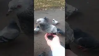 Любите природу