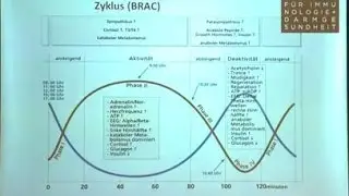 Vitamin D - Darmgesundheit und nicht nur zur Knochengesundheit - mit Antje Rössler