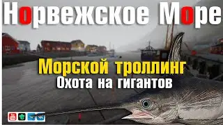Морской Троллинг • Охота на Гигантов • Норвежское Море • Русская Рыбалка 4