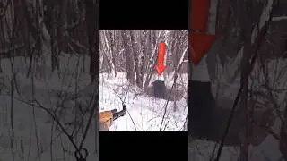 Winter Bear Hunt – Tracking Giants in the Snow!