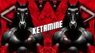 Domenico Rondinelli & RTTWLR - Ketamine (Bass Visual)