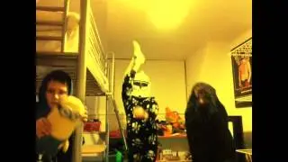 Harlem Shake