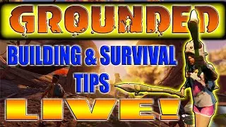 Grounded: Survival And Building Tips LIVE!