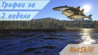 Русская рыбалка 4. Трофеи за 2 недели.