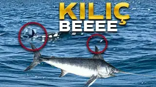 Giant Swordfish Caught on Our Fishing Rod