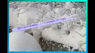 Вот так и живём... 4 - 15 января 2024 года