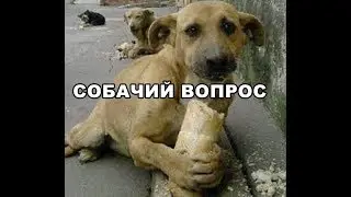 #Сармат И смех и грех с этим секретарём