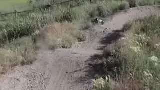 Axial Yeti Bash Test - Crashes and Driving - Blister'n Raceway