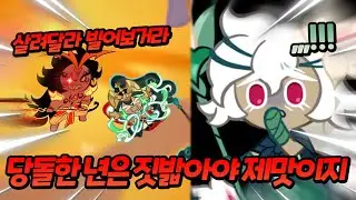 결국 짓밟힌 뇌신무장 쿠키...😰