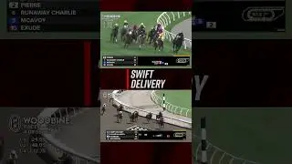 Calling all Swifties & Chiefs fans,Travis Kelce is officially a racehorse owner!Meet Swift Delivery.