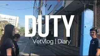 Stray cat castration | Pedigrab experience| Vetstudentvlog