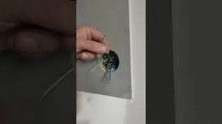 How to install a heated floor thermostat