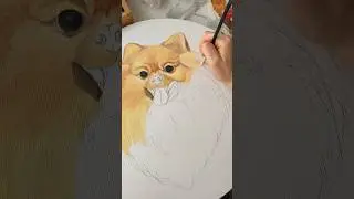 Картина померанского шпица маслом