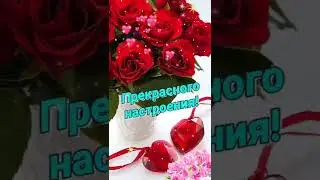 С Добрым Утром !!!