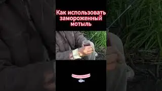 Как использовать замороженный мотыль