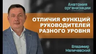 Отличия функций руководителей высшего, среднего и линейного уровня