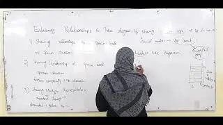 Evolutionary Relationships and Tree Diagram|Zoology|BS Program Lec By Ma'am Kausar Nadia (Botany)