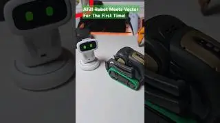 Introducing Aibi Robot to Vector Robot 🤖 #shorts