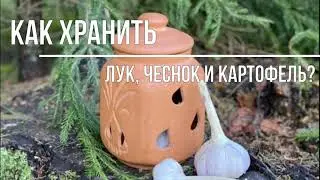 Как хранить дома картошку, лук и чеснок? Секреты хранения корнеплодов в квартире.