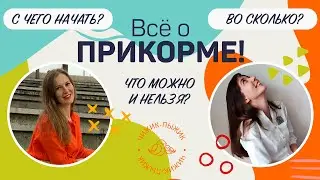 Как вводить ПРИКОРМ правильно? Что, кому и когда?