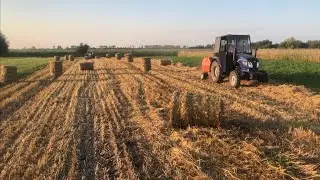 Спека +40🥵 Пресуємо солому рулонним прес-підбирачем RXYK-9010