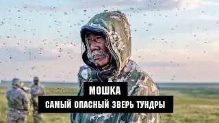 МОШКА - самый страшный зверь тундры.