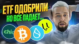А РОСТ ВООБЩЕ БУДЕТ? ГДЕ ОТКУПАТЬ АЛЬТКОИНЫ? ОБЗОР BTC, SUI, CETUS, VEGA, XCH, DOT, ATOM, APT!