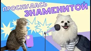 БРЮС РАЗРУШИЛ КАРЬЕРУ КАССИ