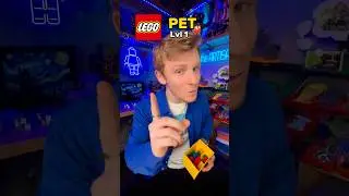 How to build a LEGO PET like a pro… 