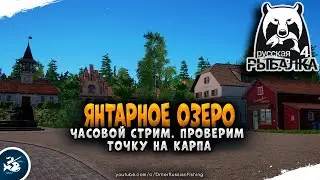 Русская Рыбалка 4 — Янтарное озеро. Карп чешуйчатый
