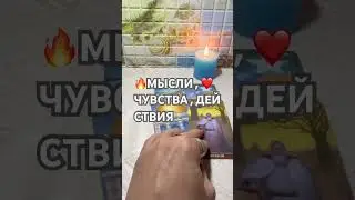 🌹🌹🌹