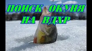 Поиск окуня на водохранилище.
