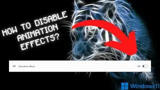 Windows 11: How To Disable ANIMATION EFFECTS?