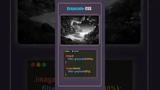 CSS Grayscale Filter Effect 