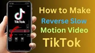 How to Make Reverse Slow Motion Video in TikTok | How to Reverse a TikTok Video 2023 |