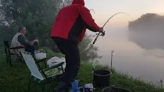 Лещ с Первого Заброса!! Мощные Лещёвые Поклёвки. Фидер на Днепре. Рыбалка с Ночёвкой. Драники.