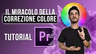 COLOR CORRECTION: Come fare su Premiere Pro!