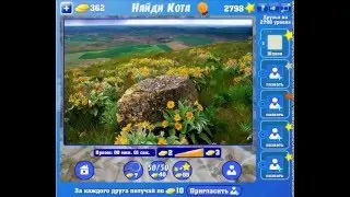Игра Найди кота Одноклассники как пройти 2796, 2797, 2798, 2799, 2800 уровень?