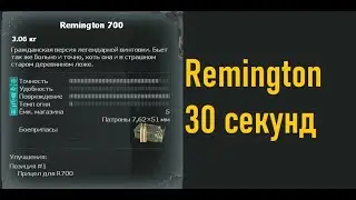 30 секундный(почти) обзор на Remigton 700 | Mysterious Zone ( Мистическая зона ) | STALKER RP