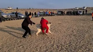 тихо тихо готовимся в песках Каракума!