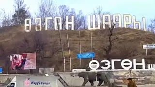 Uzgen 2019 Озгон shaary