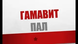Гамавит пал. Маленькая победа в войне без возможности выиграть у обманщиков и мракобесов