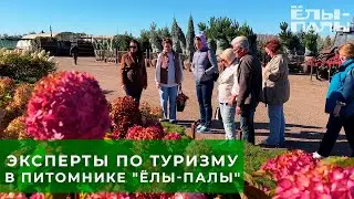 Департамент туризма в питомнике ЁЛЫ ПАЛЫ!