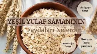 MODERN AKTAR YEŞİL YULAF SAMANI|FAYDALARI NELERDİR?